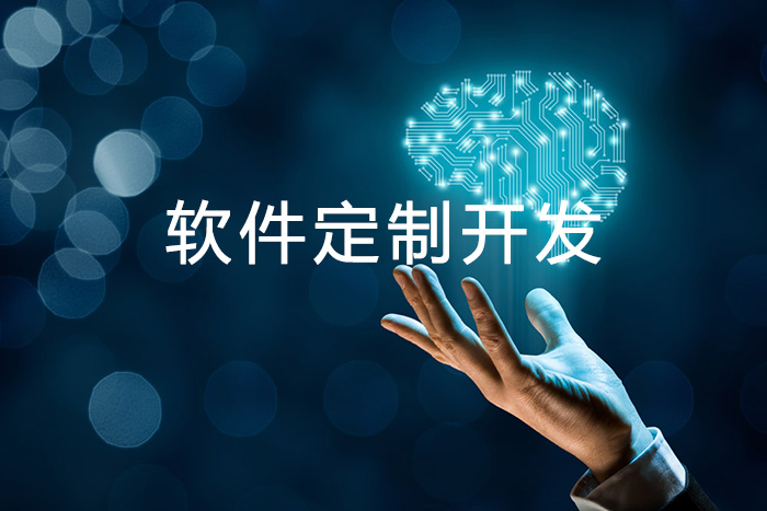 軟件定制開發.jpg