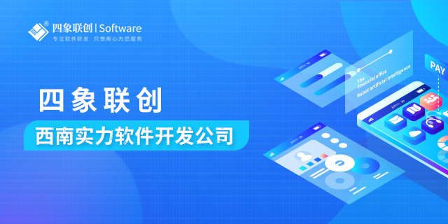 成都軟件開發公司.png