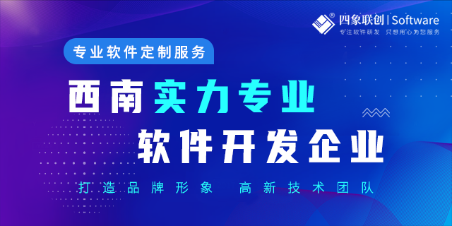 成都軟件開發公司.png